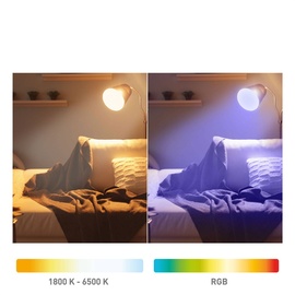 Müller-Licht tint Starter-Set LED-Birne 2 St. mit Fernbedienung