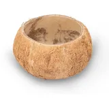 NaDeco Kokosnuss Schale Natur Ø 10–13 cm | Kokos Becher 8–10 cm Höhe | Deko Kokosnuss für Terrarium, Aquarium, Beach Party, Vogelspielzeug, Hamster Haus, Futterschale, Basteln, Garten & DIY Projekteᅠ