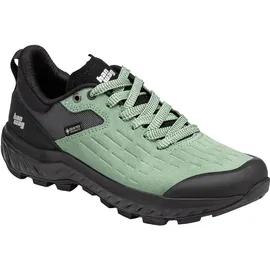 Hanwag Damen Kaduro Low GTX Schuhe (Größe 37, tuerkis)