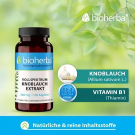 Bioherba Knoblauch Kapseln 260 mg 100 St.