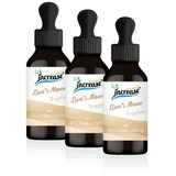 increase naturally Liposomale Lion's Mane Tropfen 180 ml