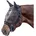Pony Schwarz