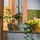 Relaxdays Bewässerungskugeln Glas 4er Set H 15 x D 6 cm