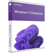 Microsoft Windows 11 Enterprise 64-Bit ESD DE
