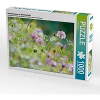 Calvendo Sommerwiese im Sommerlicht (Puzzle)