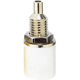 TRU Components Laborbuchse Buchse, Einbau vertikal Stift-ø: 4 mm Weiß 1 St.