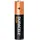 Duracell Plus Micro (AAA)-Batterie Alkali-Mangan 1.5 V 24 St.