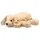 Steiff Soft Cuddly Friends Floppy Lumpi Hund 20 cm Braun