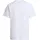 The North Face Evolution Simple Dome Regular Fit T-Shirt mit Logo-Stitching, Weiss, M