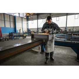 Bosch GWS 12-125 mit Zusatzhandgriff Vibration Control