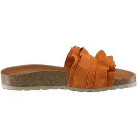 Verbenas Rocio Roda orange 37