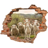 WallSpirit WCB Wandtattoo - Wanddurchbruch mit Aussicht auf Schafe 90 x 74 cm - Wandaufkleber