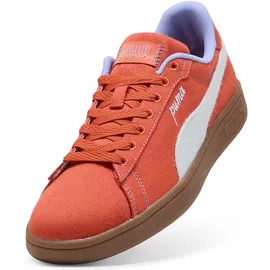 Puma Smash 3.0 Etiqueta Herren Orange/Grau 44