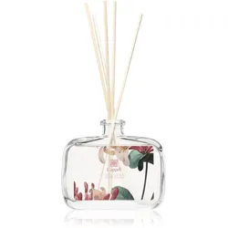 L'appel Honey Suckle Aroma Diffuser mit Füllung 120 St.