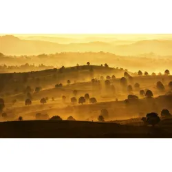 Fototapete PAPERMOON "BERGE-LANDSCHAFT DORF WIESE NEBEL GEBIRGE SONNE WALD", bunt, B:3,00m L:2,23m, Vlies, Tapeten