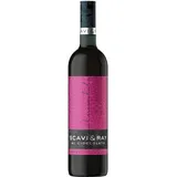 SCAVI & RAY Al Cioccolato - Fruchtiger, intensiver Rotwein aus Italien vereint mit feiner, herb-süßer Schokolade - Gekühlt und heiß genießbar (1 x 0.75l)