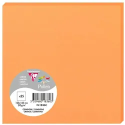 Pollen 250x Karte Pollen 135x135mm 210g - Clementine 1836C