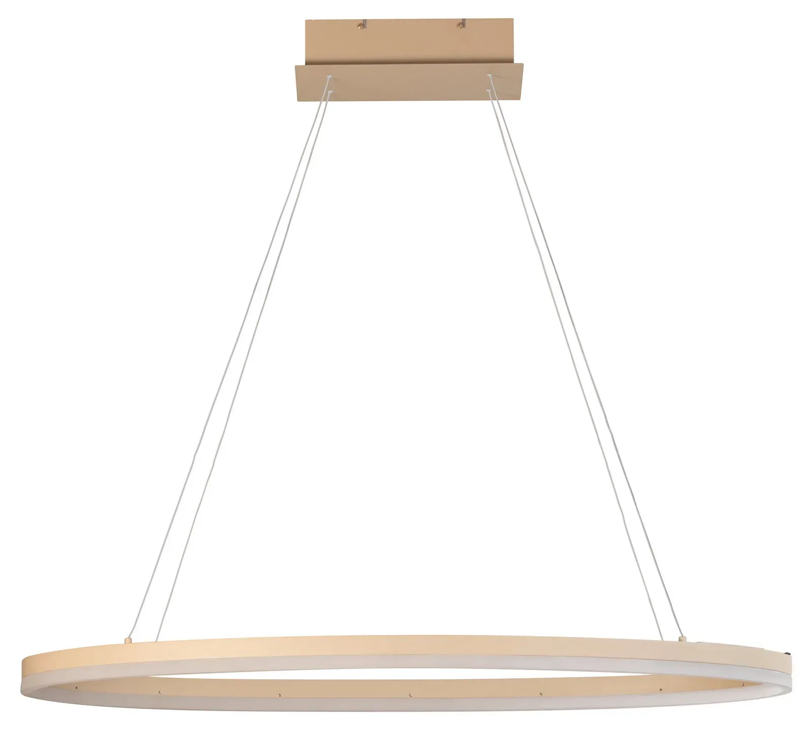Fischer & Honsel LED-Hängeleuchte SILVIO - B/H ca. 50.00x100.00