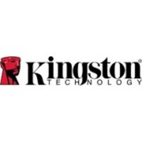 Kingston 64 GB USB 2.0 DataTraveler 20 64 GB
