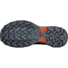 Salomon X Ultra 360 GTX Herren Quiet Shade / Black / Spice Route 42