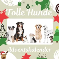 27amigos Tolle Hunde Adventskalender