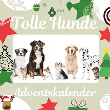 27amigos Tolle Hunde Adventskalender