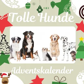 27amigos Tolle Hunde Adventskalender