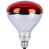 MBMYUCKY Rotlichtlampe Wärmelampe Schildkrötenhaus Infrarotlampe - Wärmeplatte Küken Terrarium Zubehör Chick Rotlicht Vogellampe 250Watt (R125 1Pack)