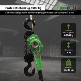 Trutzholm Ratschenzug 6 t Tragkraft - 3 m Hubhöhe Hebezug Kettenzug Hebelzug Flaschenzug
