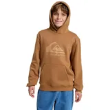 QUIKSILVER Comp Logo Brown 128