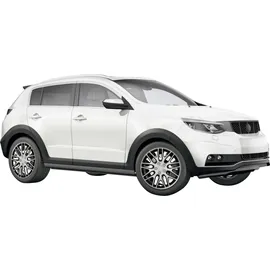 CARTREND Branch 16 Zoll 4 Stück Schwarz/Silber