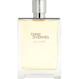 Hermès Terre d'Hermès Eau Givrée Eau de Parfum refillable 175 ml