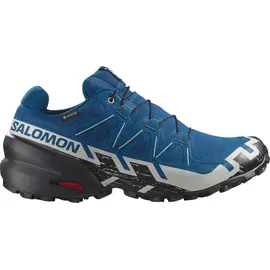 Salomon Speedcross 6 Gore-Tex Herren Poseidon/Black/Lunar Rock 44 2/3
