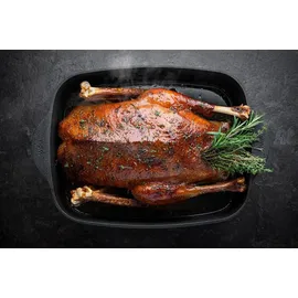 WOLL Eco Logic QXR Bräter 31 x 26 cm