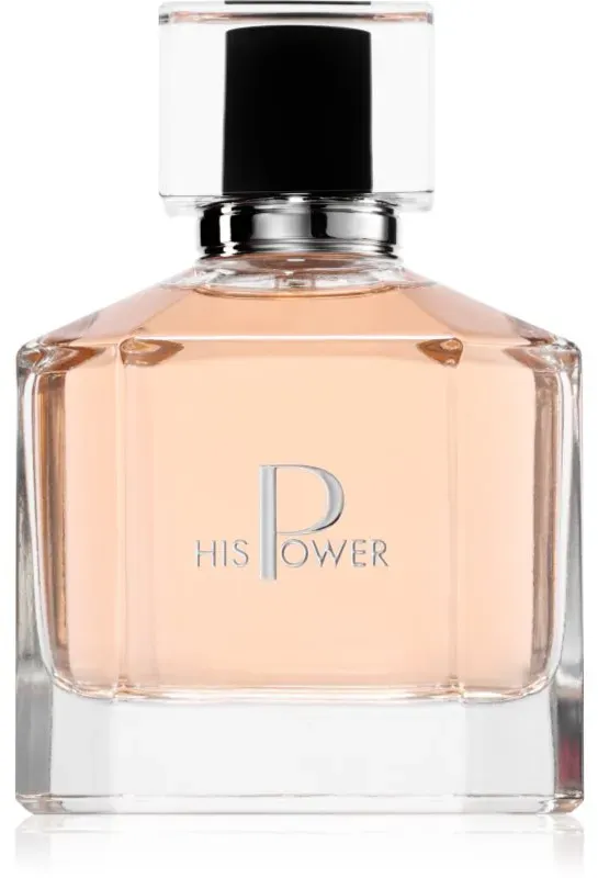 Farmasi His Power Eau de Parfum für Herren 100 ml