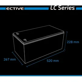 Ective LC 260L Versorgungsbatterie 26,7 x 22,8 cm Schwarz