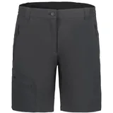 ICEPEAK Beaufort Shorts grau 46