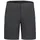 ICEPEAK Beaufort Shorts grau 46