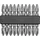 TRIZERATOP Doppelseitige Schrauberbits PH2 60 mm 10-tlg.