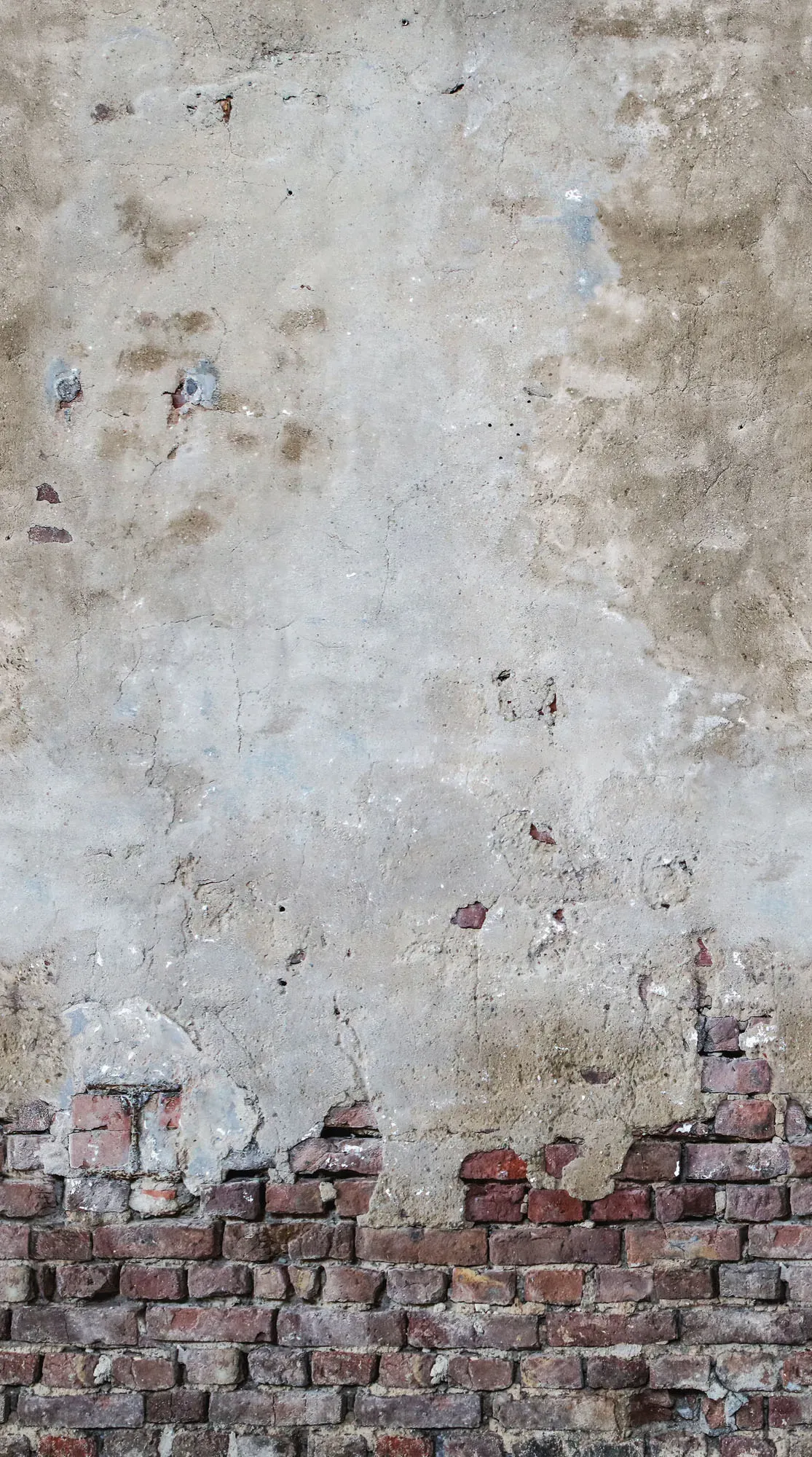 Fototapete LIVING WALLS 