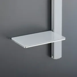 Duravit Universal Duschablage für Brausestangen, 41000610,