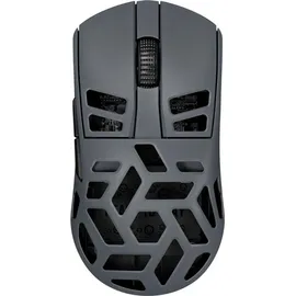 Kingston MSE90W Dunkelgrau