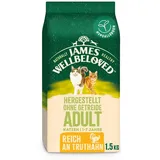 James Wellbeloved Trockenfutter Adult getreidefrei Truthahn 1,5 kg