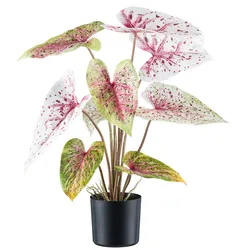 Creativ green Kunstblume »Caladium«, mit außergewöhnlicher Farbgebung Creativ green hellgrünrot