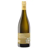 Weingut Hammel & Cie Hammel Ganz in Weiss trocken 2024