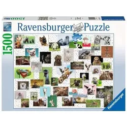 RAVENSBURGER 16711 Erwachsenenpuzzle Funny Animals Collage 1500 Teile