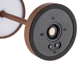 APS MERLE MICRO Braun