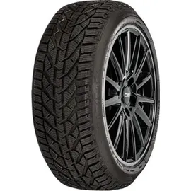 Riken Snow 205/55 R17 95V