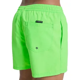 QUIKSILVER Everyday Solid Volley 15 Badeshorts Grün XXL
