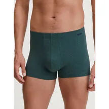 CALIDA Cotton Sporty Trunk blau XXL 2er Pack